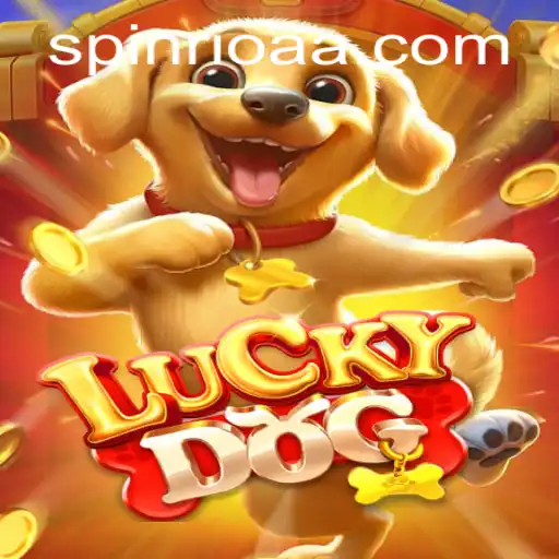 Discover the Excitement of LuckyDog and Master the Art of BT Bet